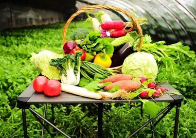 春茬蔬菜和越冬一大茬蔬菜已陆续春茬蔬菜和越冬一大茬蔬菜已陆续